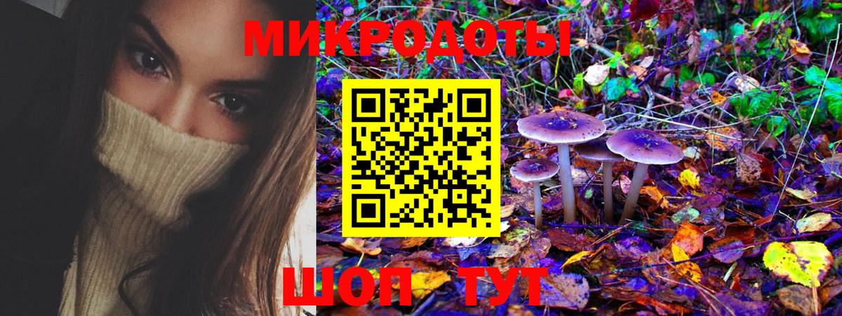 Горно-Алтайск  Псилоцибиновые грибы мухоморы  Вход с VPN 